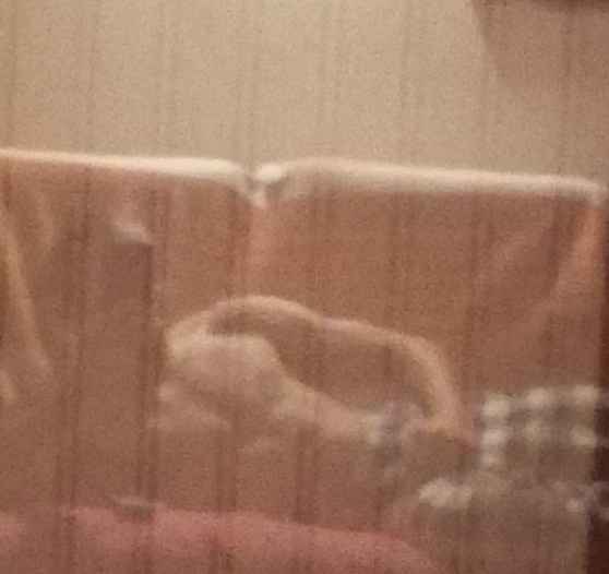 Profil de Tery, 27 ans, Cruising gay à Gembloux (Namur)